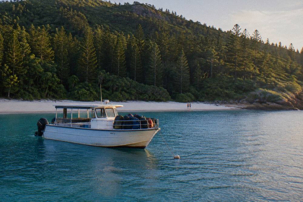 A small motorised transfer vessel anchored off a white sand beach beside dense island forest
