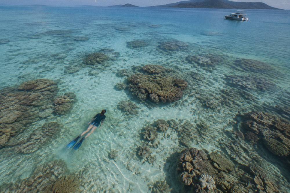 A snorkeller floating over pale coral bommies in clear shallow reef water