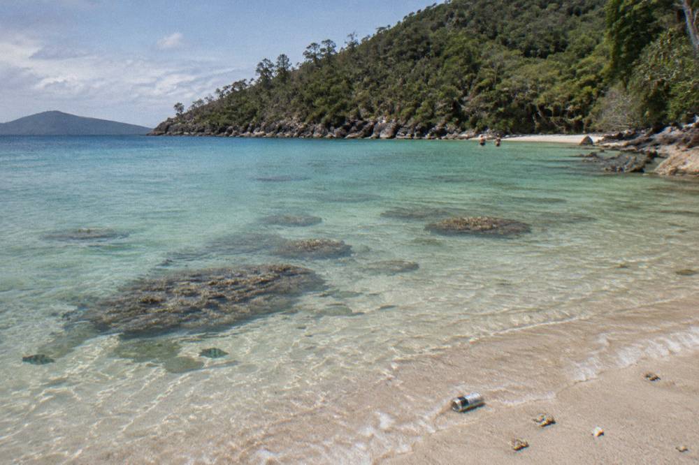 Coral bommies and fish above a reef flat in pale green water near an island