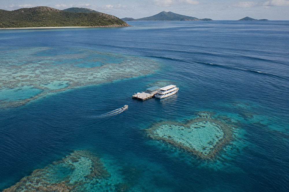 A tour boat moored beside a reef pontoon in open blue water under a clear sky