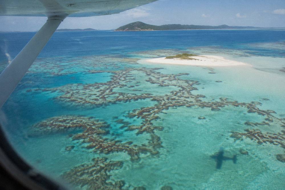 A high wing aircraft flying over fractal patterns of coral reef in clear blue water