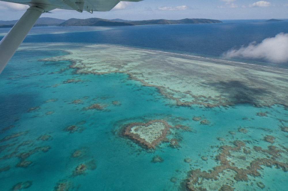 A small white heart shaped coral formation visible in clear reef water from the air
