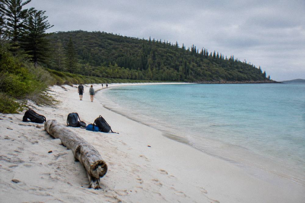 Long curve of pale sand meeting clear shallow water, with wooded headland in the distance