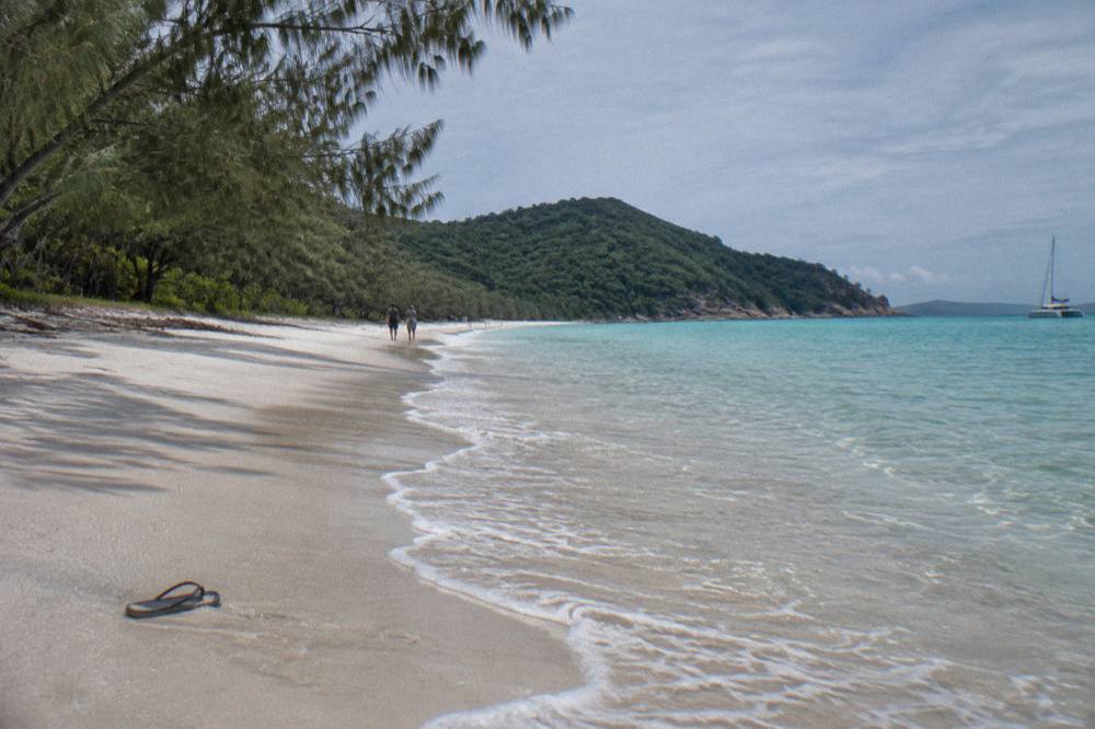 White sand shoreline curving toward green forested headland under a clear sky