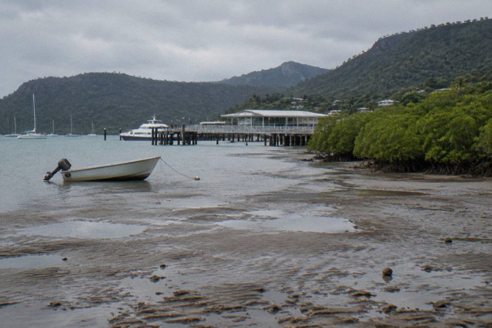 Shallow tidal flats at the edge of a tropical bay with mangroves along the shoreline