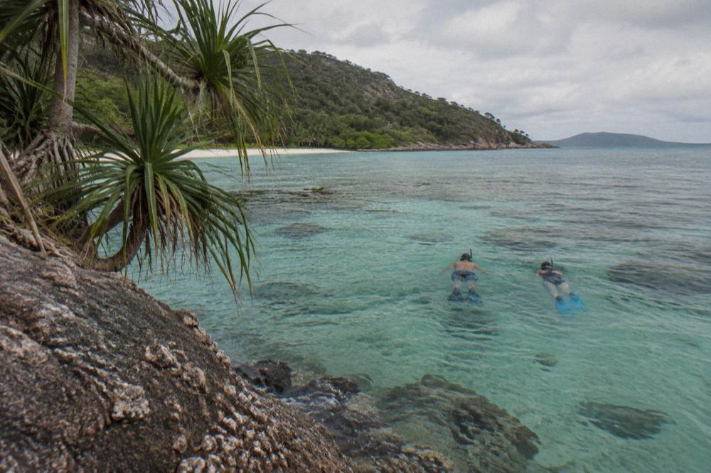 Snorkellers floating over a coral reef in clear shallow water