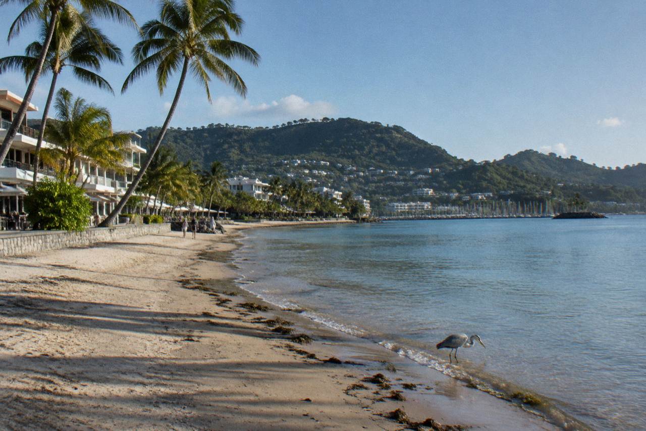 Calm sandy shoreline beside a tropical town waterfront under a wide blue sky