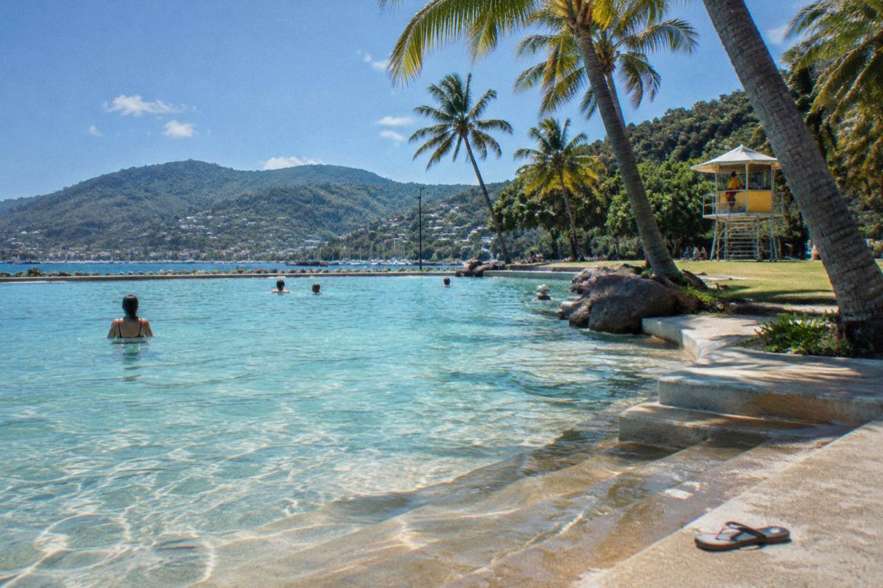 A large saltwater swimming lagoon beside palm trees and a tropical foreshore in Airlie Beach