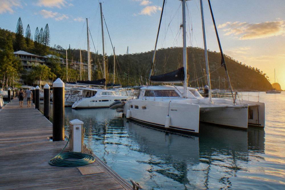 Tour boats at marina berths in the late afternoon light