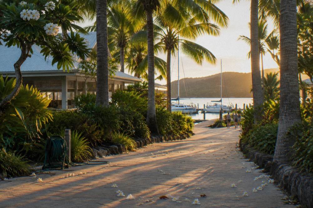 A shaded resort walkway between palm trees looking toward a marina