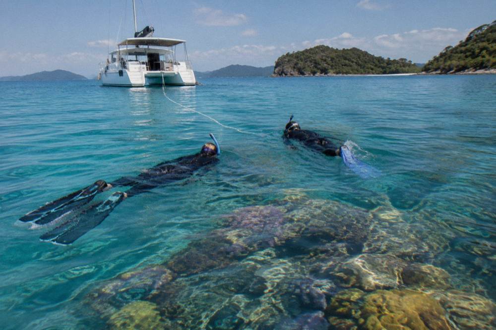 Snorkellers in the water above a coral reef from a tour boat