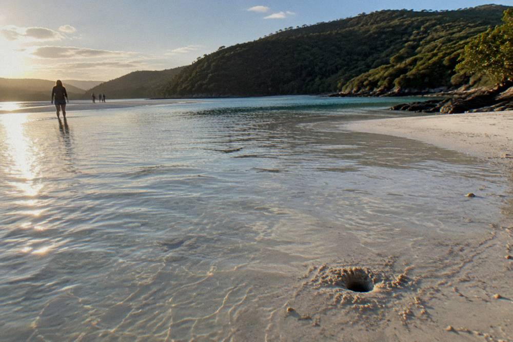 Shallow clear tidal water and pale sand at the edge of Hill Inlet beside forested headland
