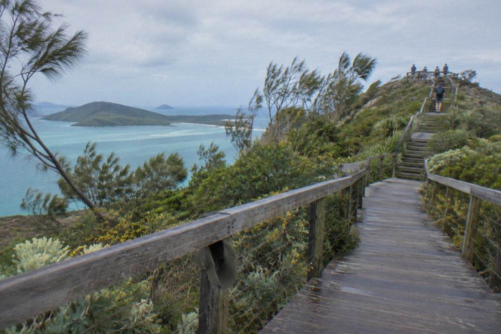 Timber boardwalk climbing through low coastal forest toward a headland lookout