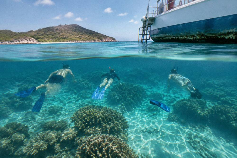 Snorkellers floating above coral beside a moored tour boat in clear shallow water