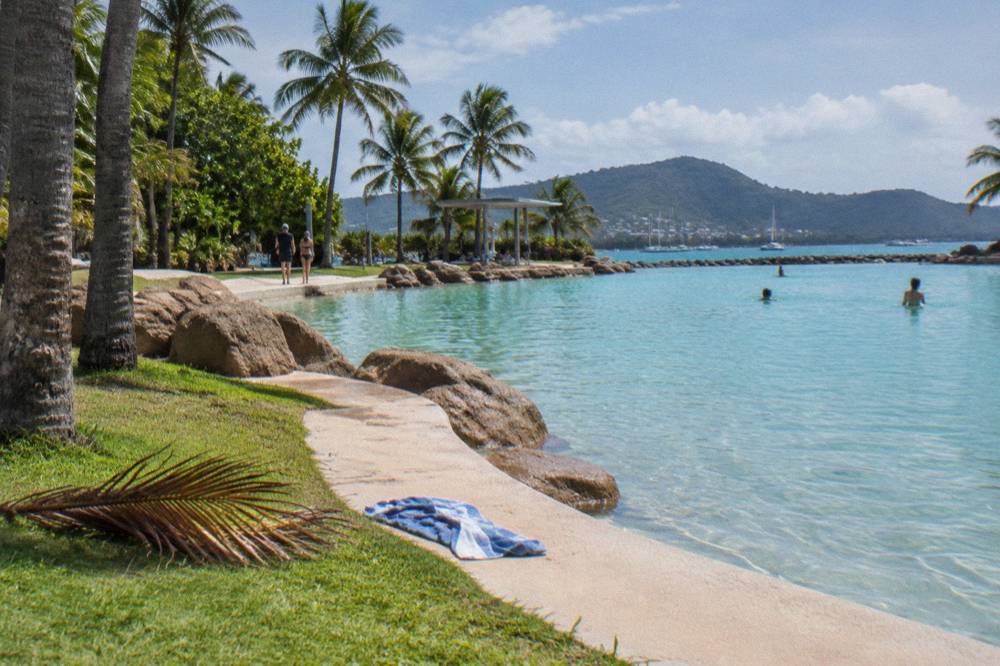 Palm-fringed lagoon edge with calm water and landscaped rocks beside a foreshore lawn