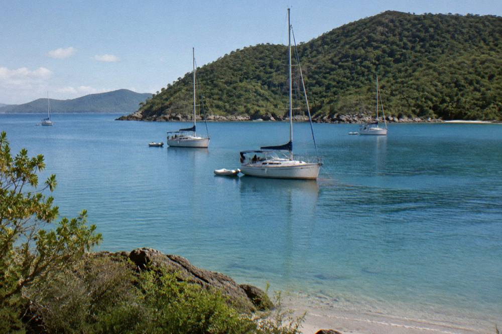 Anchored sailing yachts in a blue bay with dense green island behind