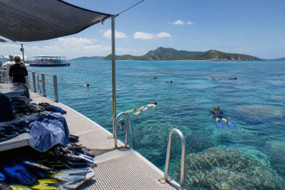 Snorkellers in the water beside a reef pontoon over clear coral water