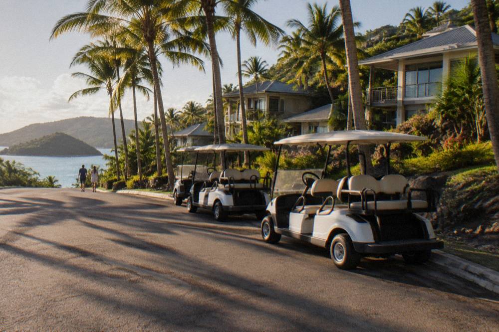 Golf buggies parked in a row on a palm-lined island street