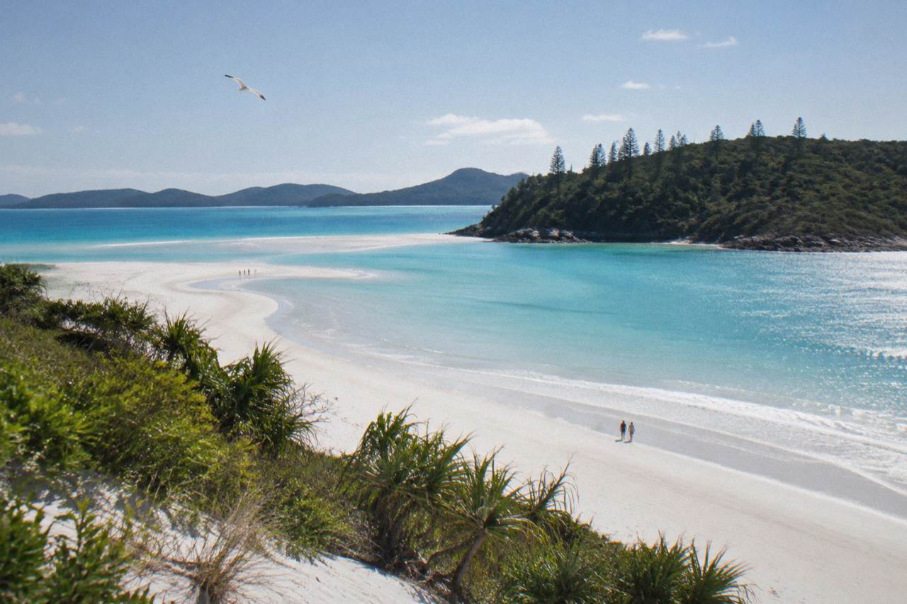 Whitehaven Beach white silica sand curving toward turquoise Hill Inlet water under a clear sky