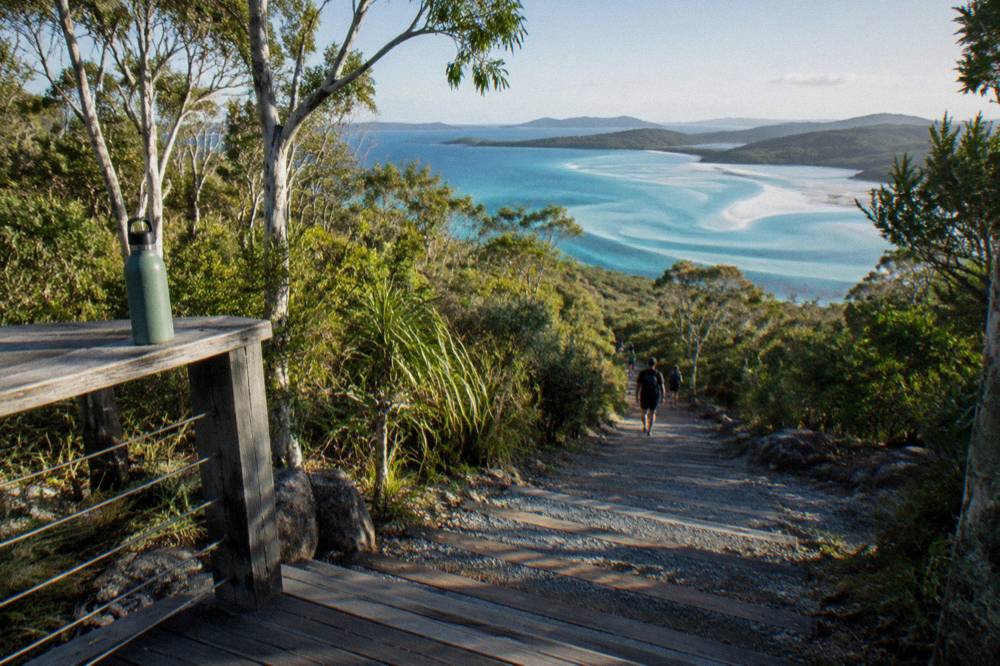 A timber boardwalk leading through low coastal forest toward the Hill Inlet lookout platforms