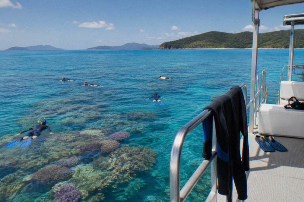 Snorkellers in clear water above a coral reef beside a floating pontoon