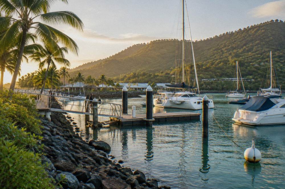 A sheltered mainland harbour with a jetty, palm trees and moored vessels in clear water