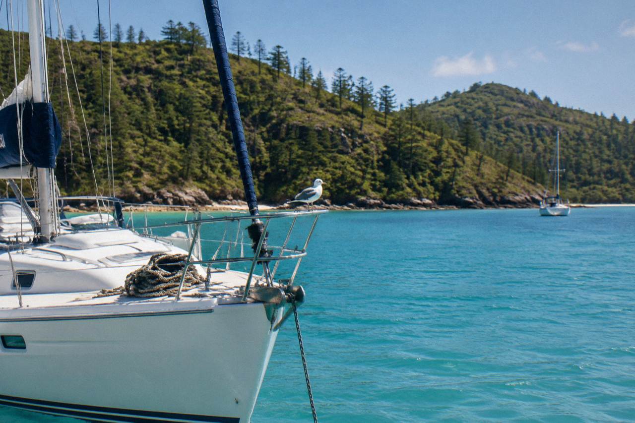 A sailing yacht moored in clear turquoise water beside a forested Whitsunday island