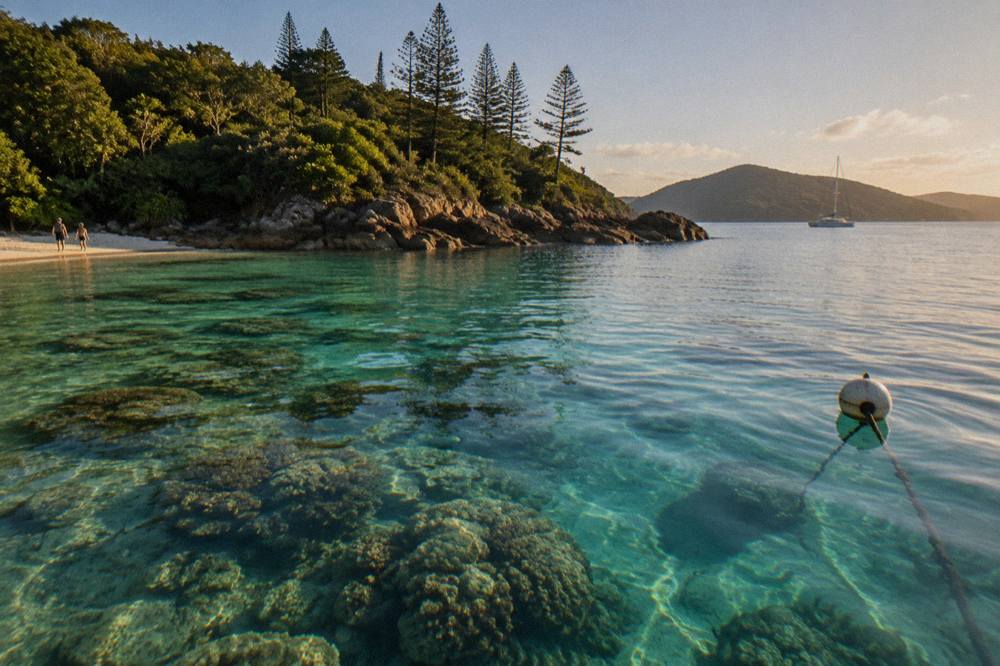 Shallow coral formations visible through clear water below a wooded island headland