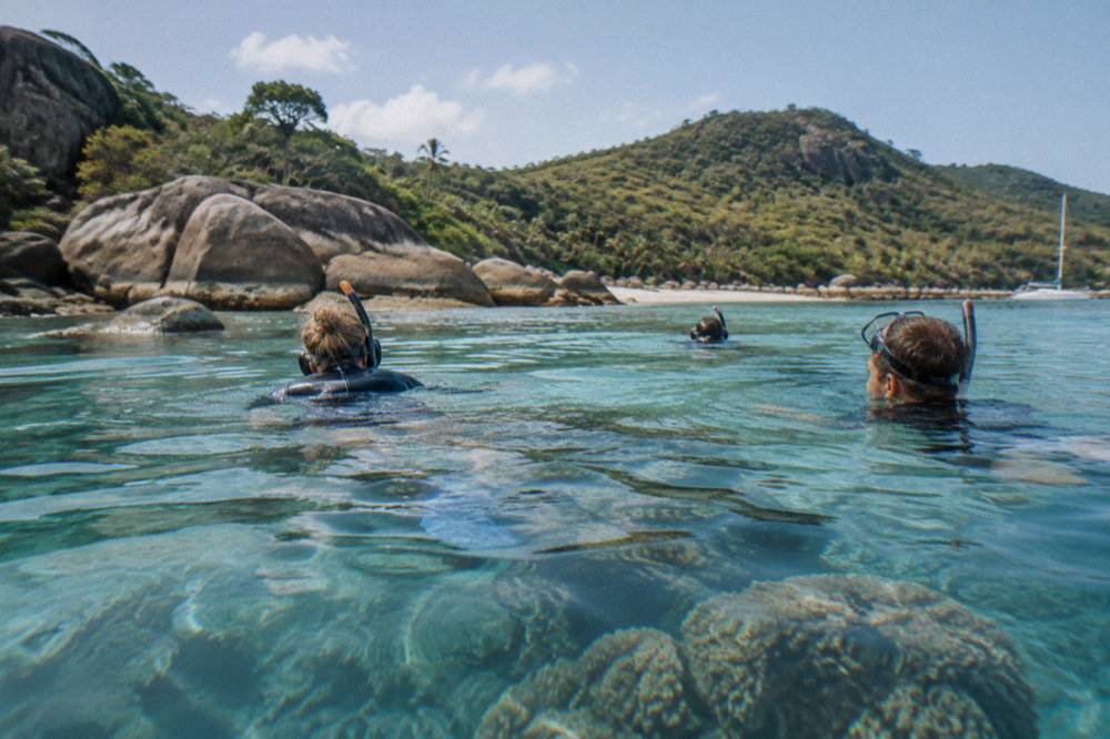 Snorkellers floating above a coral bommie in clear reef water